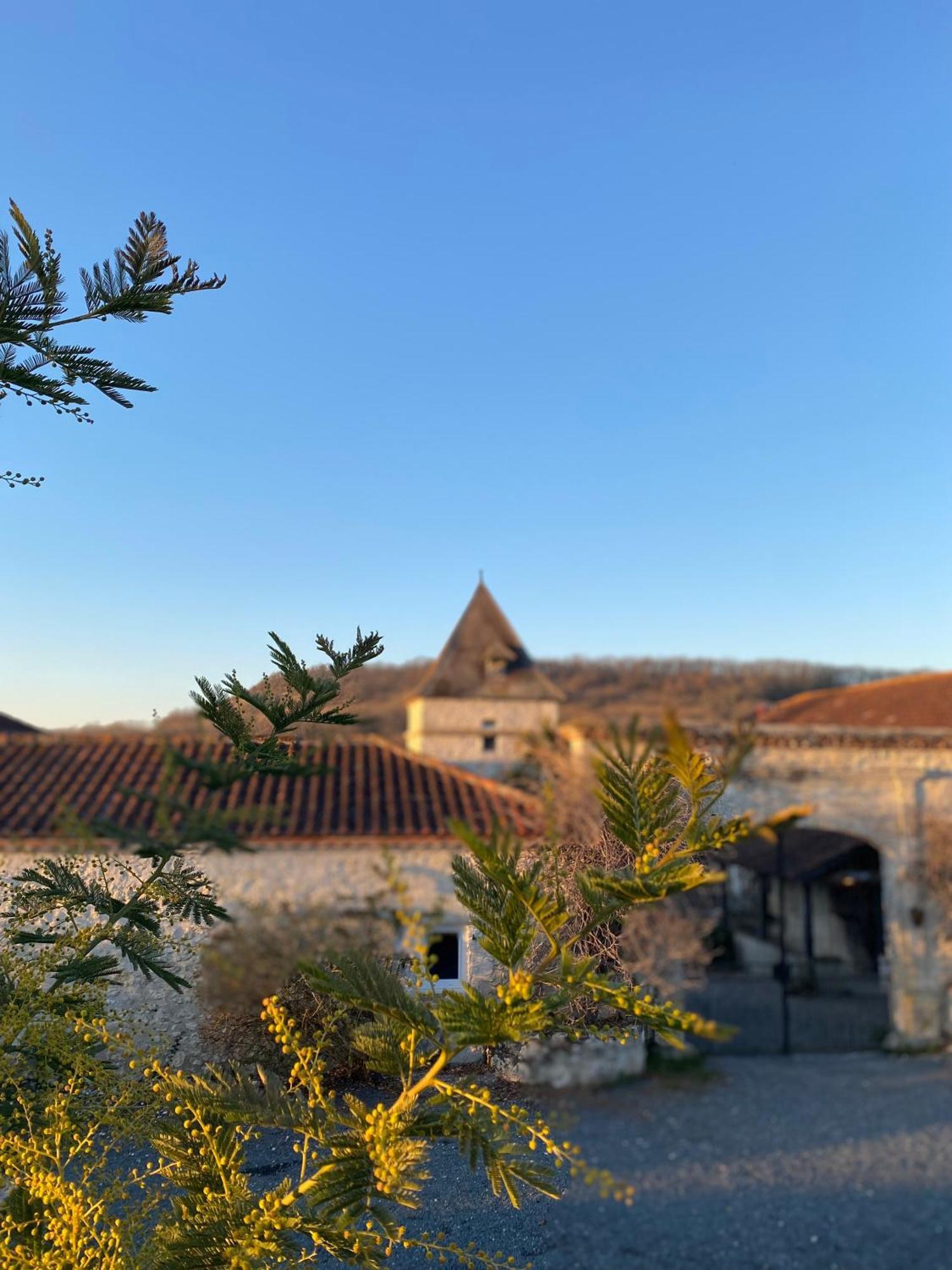 Domaine De Villot Hotel Sainte-Colombe-de-Villeneuve Eksteriør billede